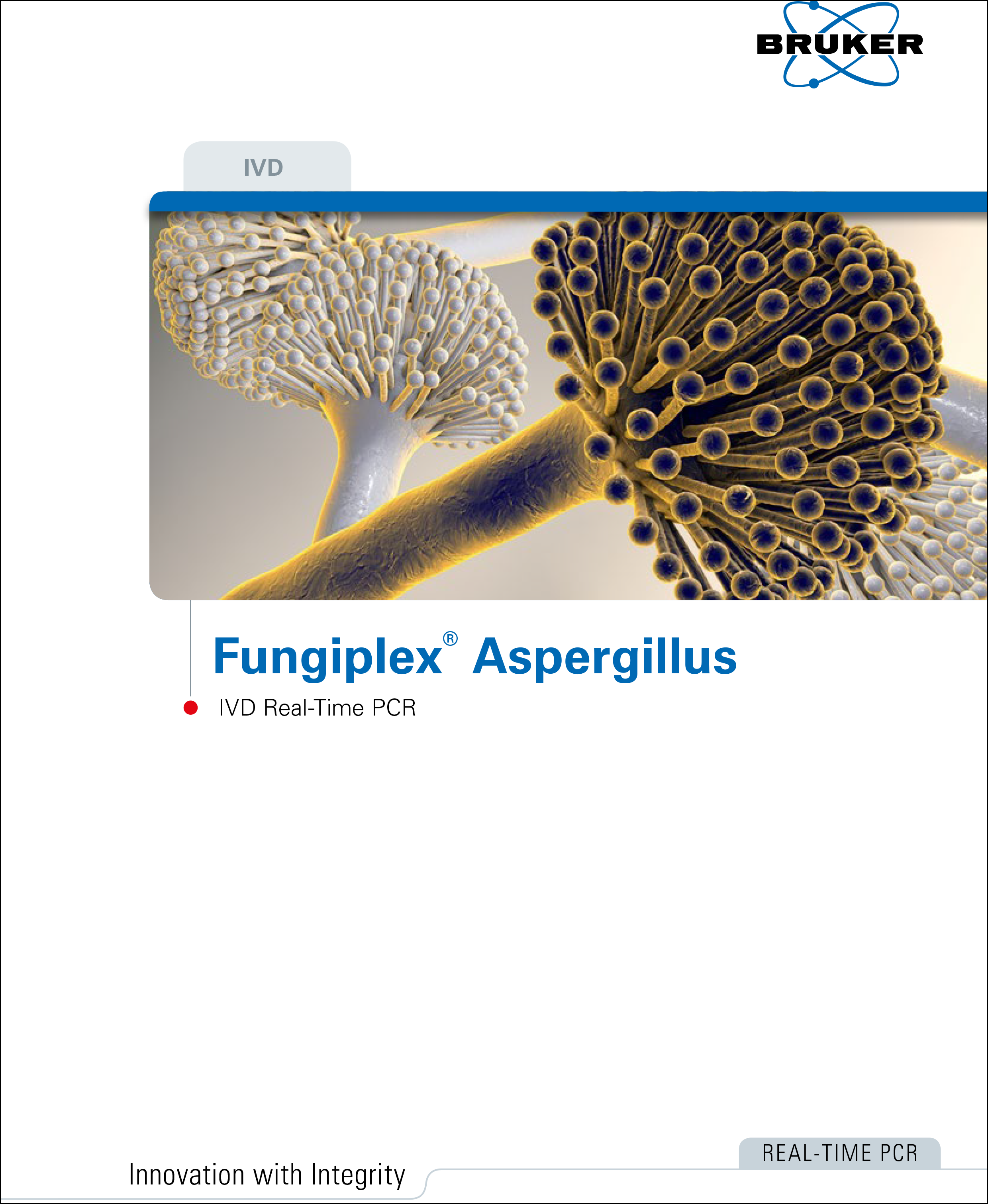 Fungiplex® Aspergillus IVD Real-Time PCR Kit